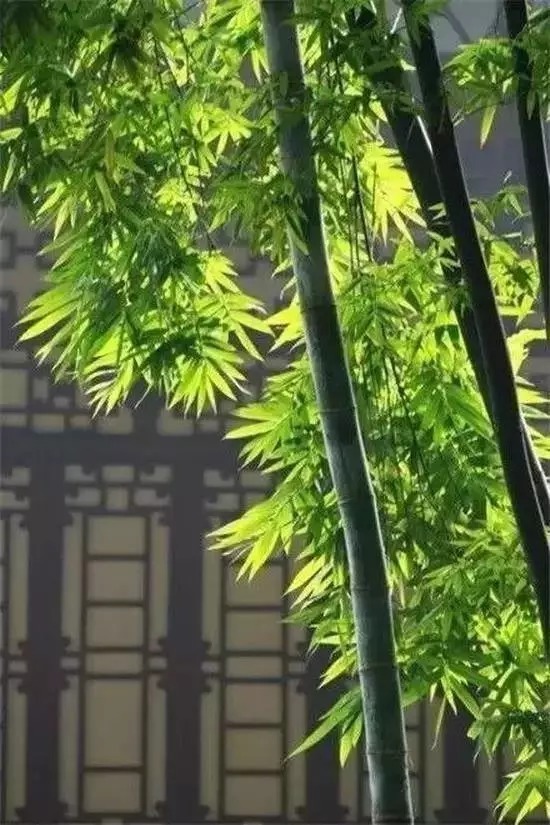 天道酬勤@《周易》六十四卦的启示,勘破人生不过如此!