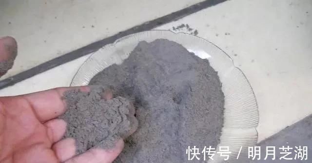 腐殖土|花盆里种的花不需要买泥土,用这种东西混合种的花草都很旺盛
