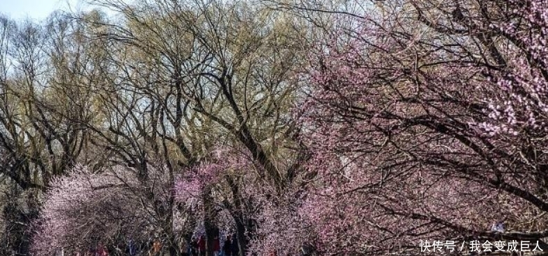 送别|无名氏写下一首送别诗,对唐诗产生了巨大的影响,很多人都引用过