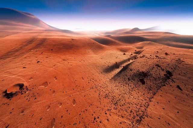 生命 如果将真菌生物放置在火星上,若干年后,它会演化出生命吗