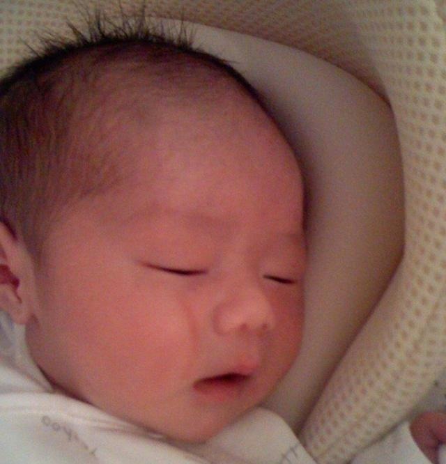 二胎|妈妈去买菜,5岁哥哥主动要照顾妹妹,回家后却发现哥哥嚎啕大哭