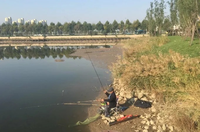 悄悄告诉你:其实不管在哪钓,铅坠这样调整后,一根鱼竿钓到手酸