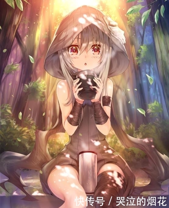 卫宫士郎|看了半天才发现,原来魔法少女伊莉雅,是fate的第一部后宫番