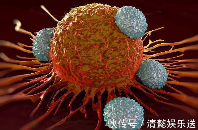 香蕉|3种水果平时要少吃，尤其第一种，吃得越多，“癌细胞”越喜欢！