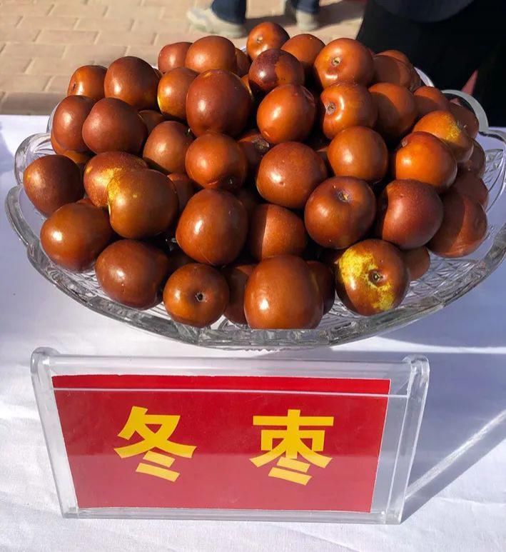 资料图|11月5日，新疆·若羌第十四届“楼兰文化·红枣节”将盛大开幕！