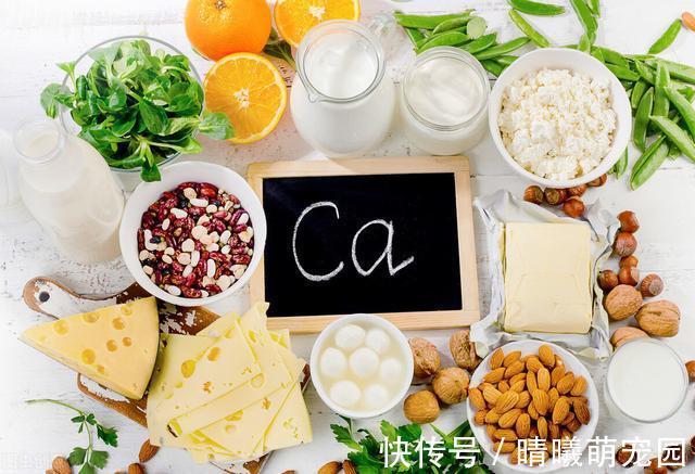 膳食纤维|60岁以上老年人要长寿,要多注意补充哪些营养?本文详细总结