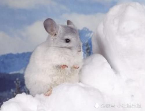 翘二郎腿|女生想要甩掉“大粗腿”,这三个毛病必须改掉,不然会反弹