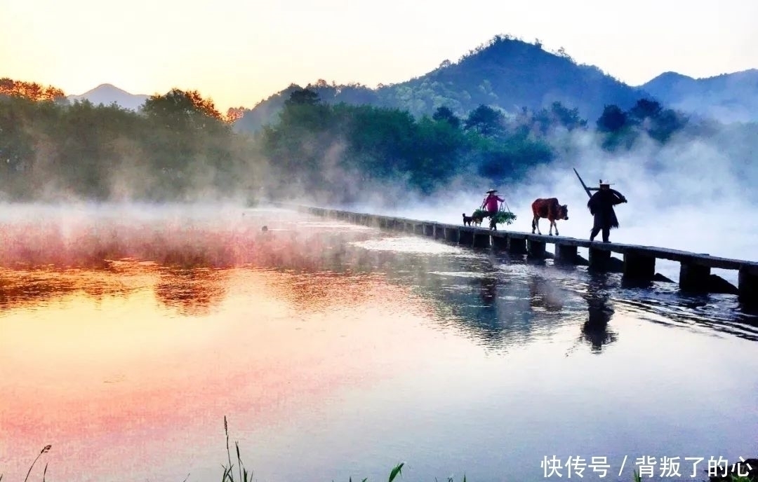 客从何处来#唐代最好命的诗人，86岁写下一首诗，太经典，年年入选小学课本