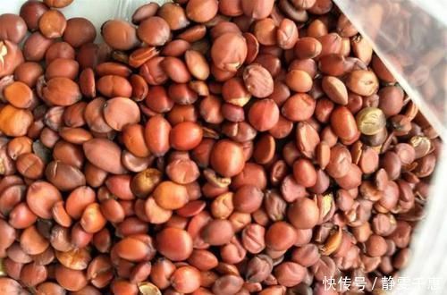 睡眠质量|睡眠是免费的“长寿药”,总是失眠?拿它煮汤喝,助你睡得香!