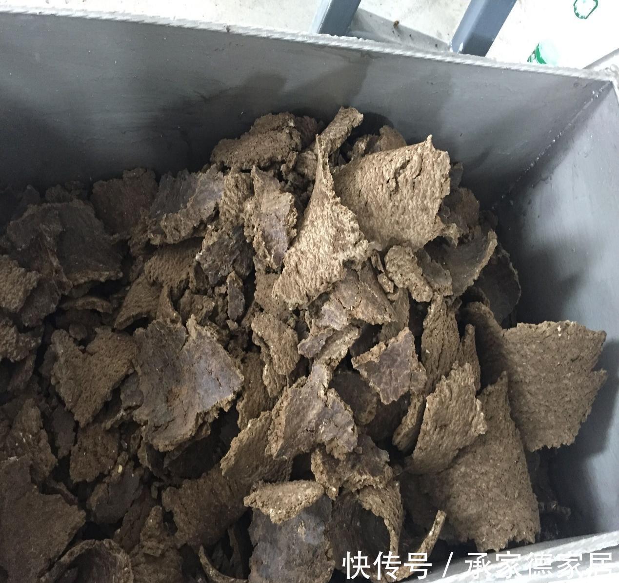 坚果壳|果皮、坚果壳、骨头该怎么处理？这样制成肥料，养花不再缺营养