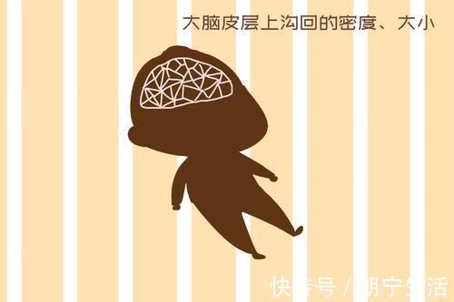 研究发现|研究发现：新生儿头围暗示大脑发育好坏，越接近这个数越聪明