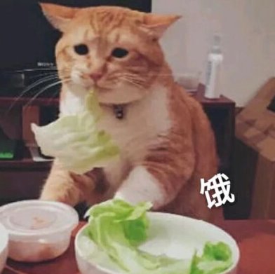 新冠肺炎|许昌、周口、平顶山…河南多地全面恢复！