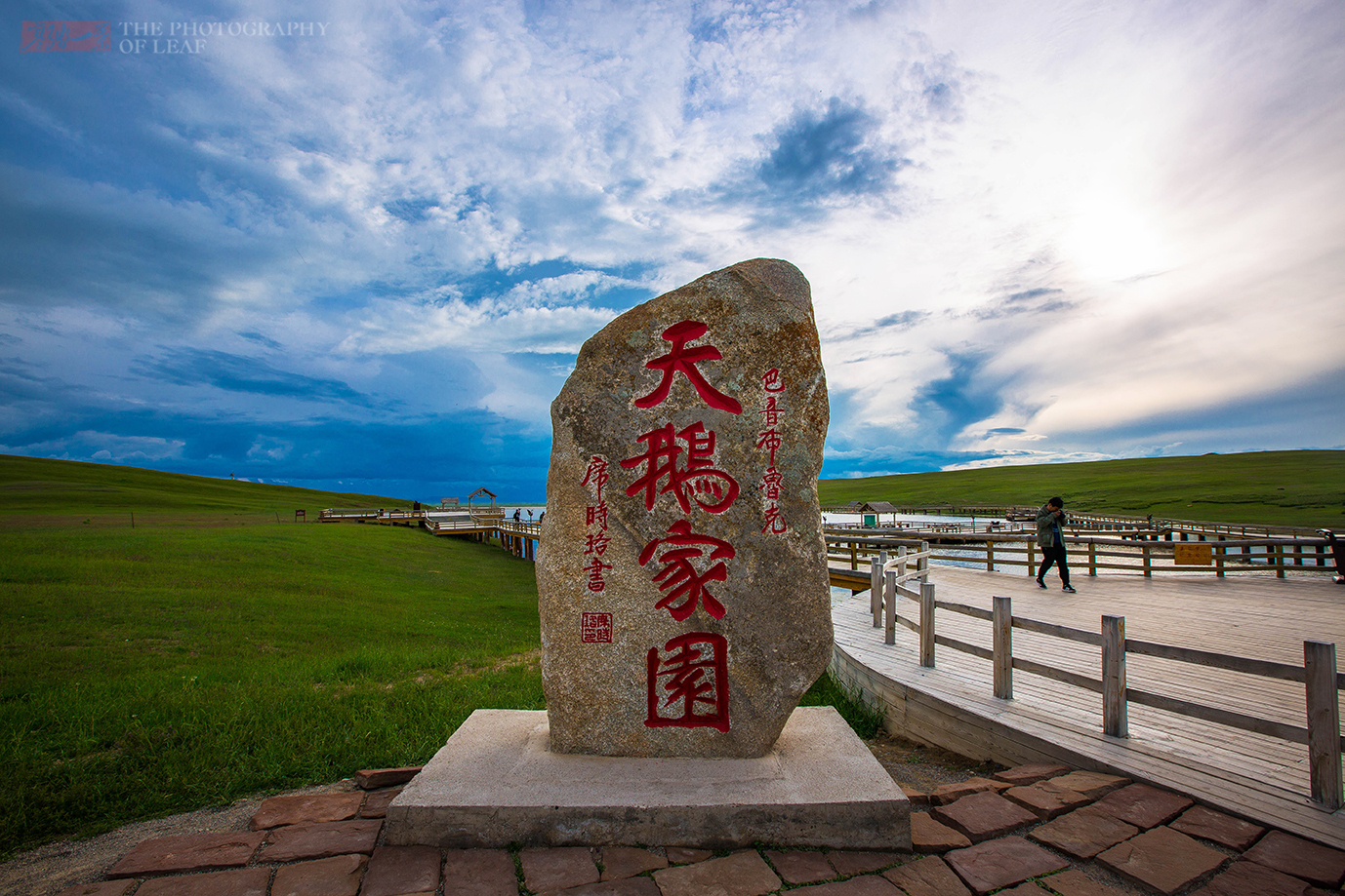 草原|这是中国最大的景区，从景区大门到景点往返90公里，就在新疆