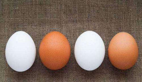 营养师|买鸡蛋时,买红壳好还是白壳好当营养师讲完后,许多人都后悔了