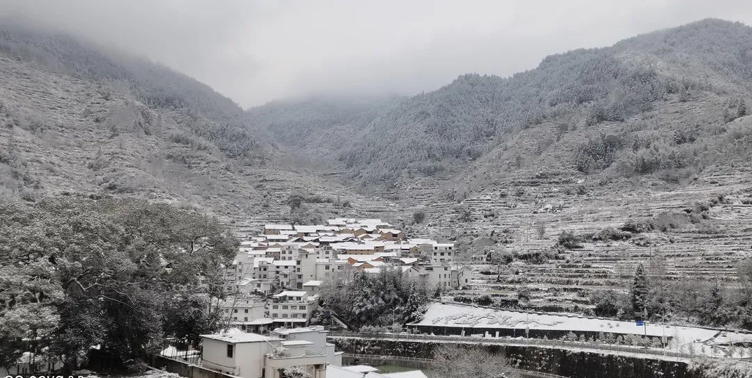 一夜之间|赏绝美雪景，邂逅野生小动物！