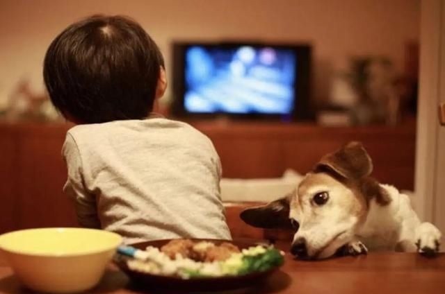 宝妈|婴幼儿能不能看电视?国内外的研究很明确,家长照做即可