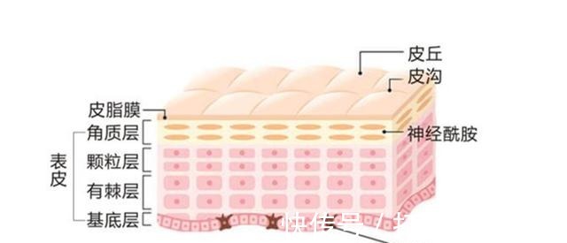 滤片 美莱光子嫩肤和激光种类这么多,到底怎么选!