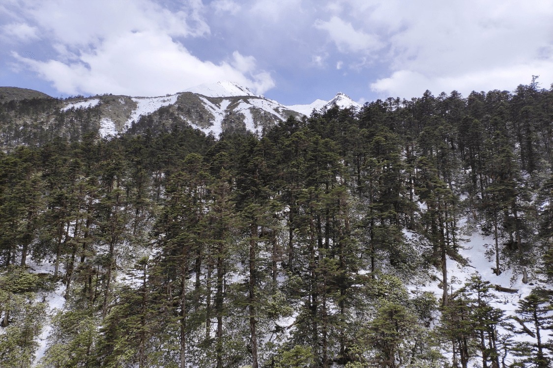 冰川|四川最适合避暑的景区，8月气温不超22℃，看雪山睡觉要盖被子