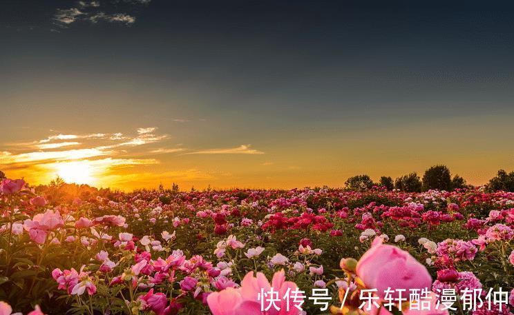 身边人|半个月后,4个星座,找回梦想,重拾自信,工作顺利,家庭美满