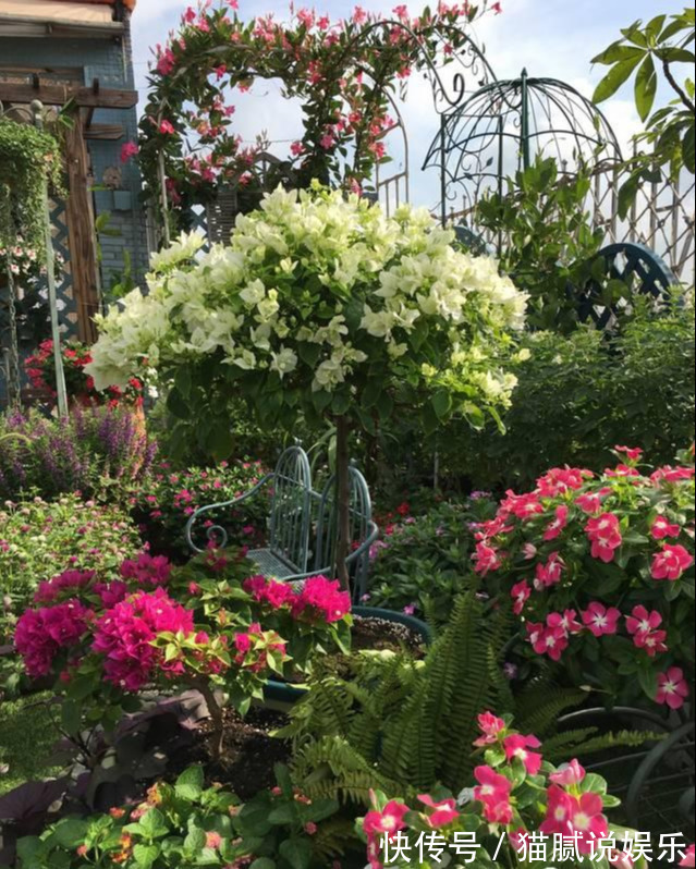 这9种花园,随便1个都美上天了,有一种这辈子就满足了!
