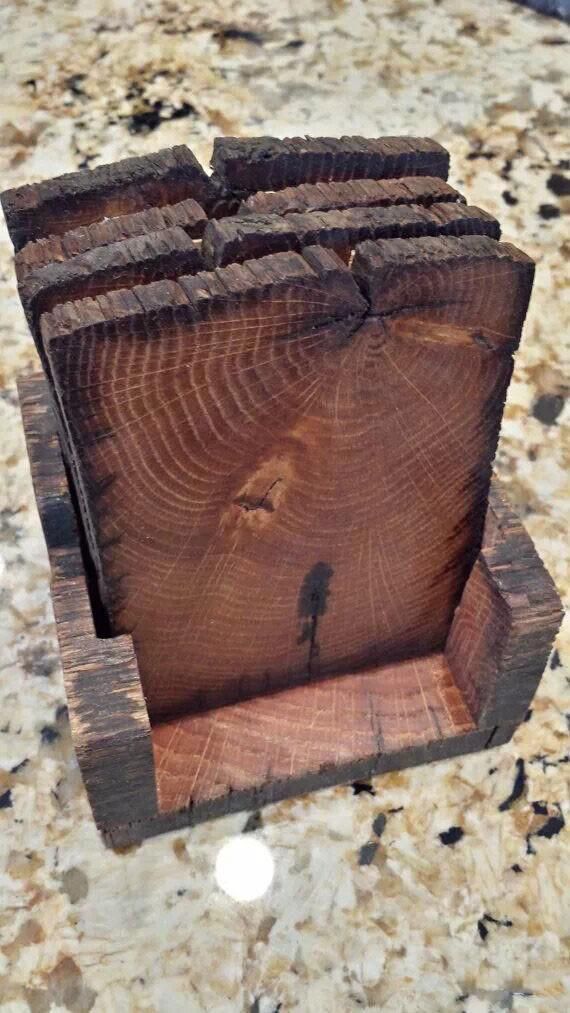 树木|树木切割是一门艺术