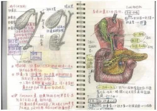 学霸笔记走红朋友圈，二十年教龄的老师优秀的学生看笔记就知道