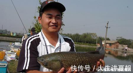 诱饵|农村小伙钓鱼就是狠,这样打窝,钓鱼钓到手发软