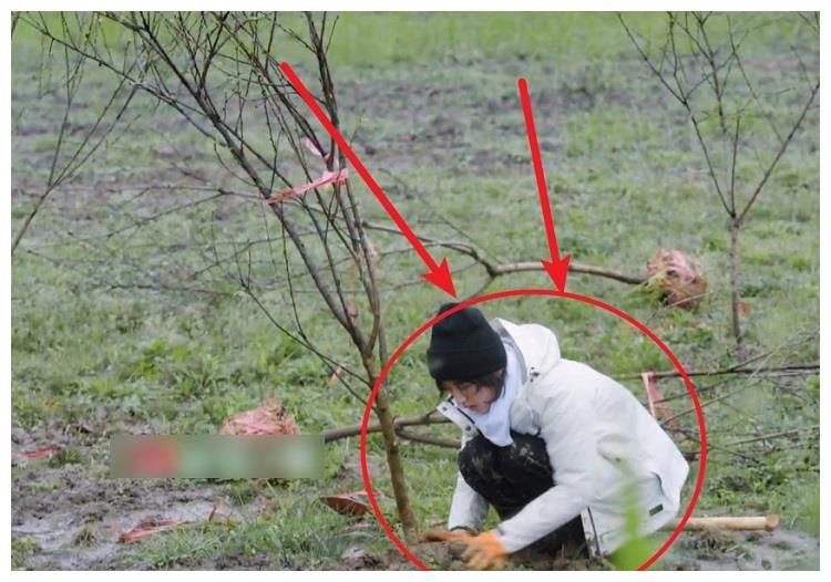 《向往5》节目录制有多真实，看到嘉宾的衣服，是否造假很明了