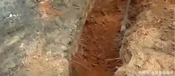 萨卡拉|赞比亚青年模仿“耶稣复活”，要求旁人将其埋葬三天，结果命归西