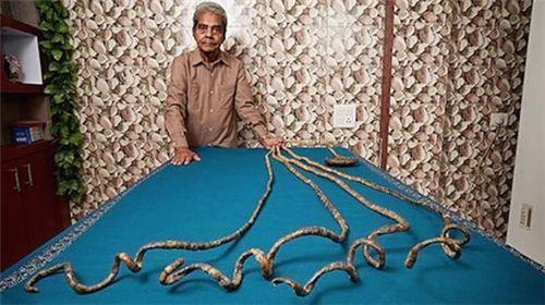  手指|他66年没剪指甲，曾打破吉尼斯纪录，捐博物馆后手指却发现新变化