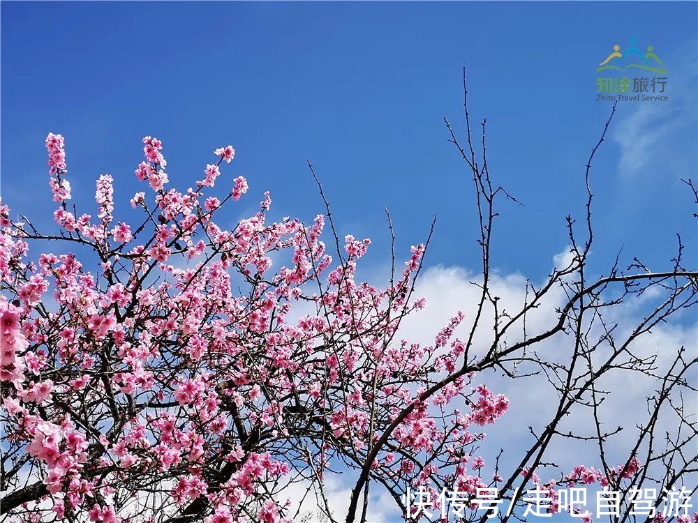 神仙包|春天第一站就去这里！醉春天之川西花海、雪山、冰湖七天之旅