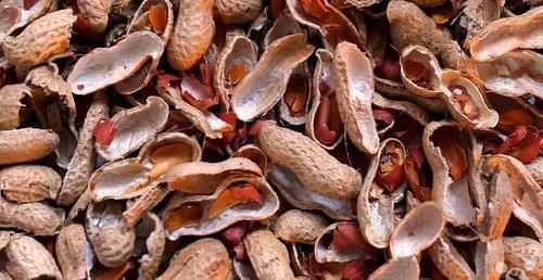 番石榴|女性秋天常食此物，美容养颜，延缓衰老，气色年轻更红润