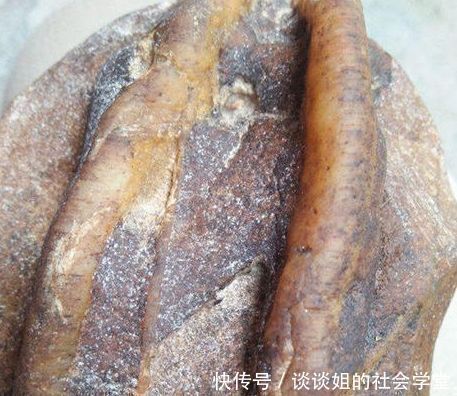 奇特|男子捡到“奇石”,模样奇特形状怪,让人大开眼界