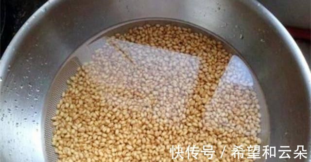 红糖水|红糖加麦粒，再加这一步骤，小鱼闹窝也有大鲫鱼开口！