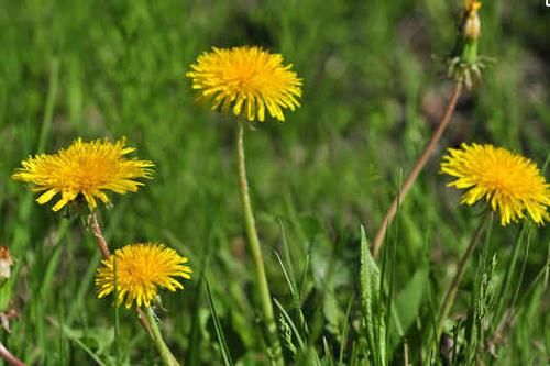  信号|血糖升高，身体会发出4个信号，降血糖：饮二水，补三物，动四处