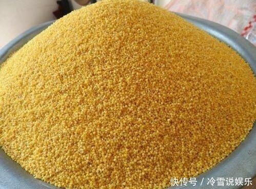 功效|难怪自己煮的小米粥不好喝，加它一起煮，好吃到爆，健康又养胃！