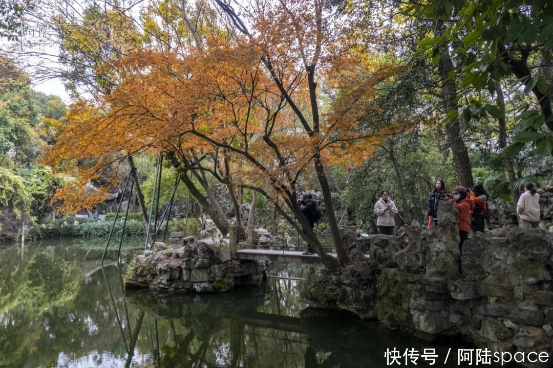 院子|海盐有个“小院子”，是我国十大名园之一，曾是《红楼梦》取景地