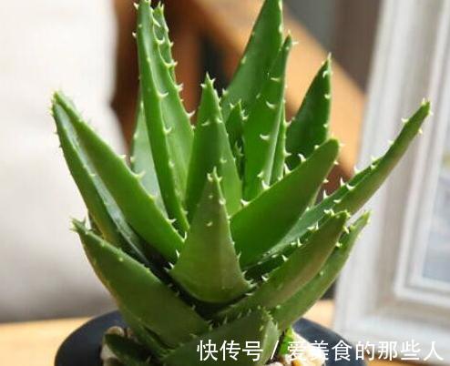 霜降后，浇花要当心，4盆花最容易烂根，把握分寸很关键