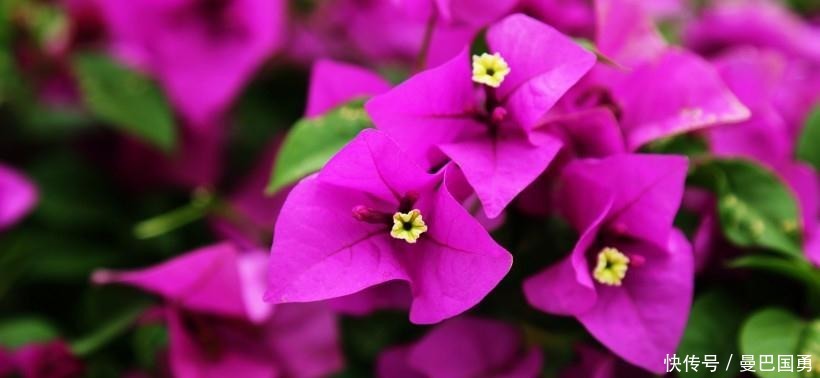 开心|10月-月底，四生肖鸿运缠身，富贵多金，开心发大财