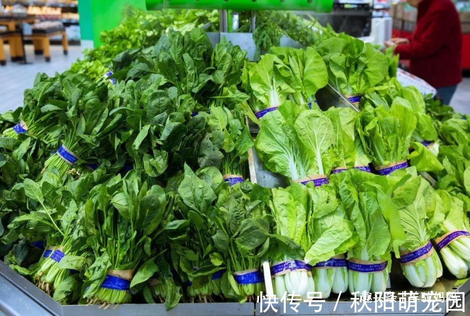 泡菜|菜贩子坦言:这3种“泡甲醛”的蔬菜,再贵再有营养,也不给娃吃