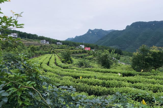 木门|国庆去哪儿，广元旺苍游红色旅游胜地，忆先辈峥嵘岁月