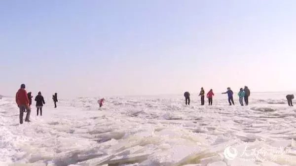 界湖|中俄最大界湖兴凯湖现冰排景观