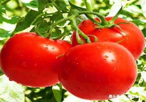 养颜|女人要对自己好一点,常吃4种食物,排毒养颜,缓解痛经,抗衰老