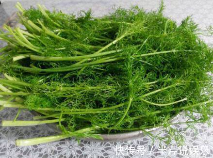 香丝菜|女人常吃此物,子宫越来越干净,不想满脸皱纹可以试试