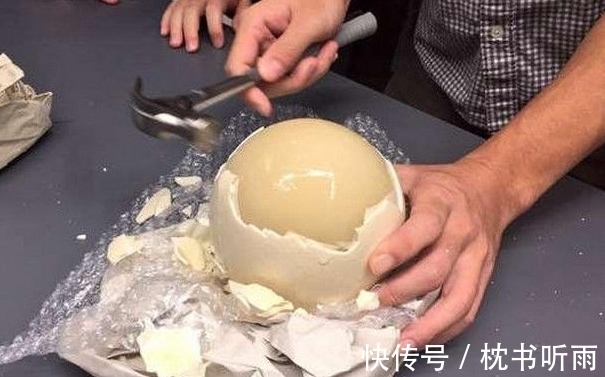 专家|男子吃了一颗巨蛋后，知道结果后悔不已，专家一句话让他喜笑颜开