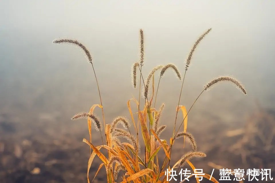 小富&一个人的福报有多少,根本藏不住,这些地方一看便知