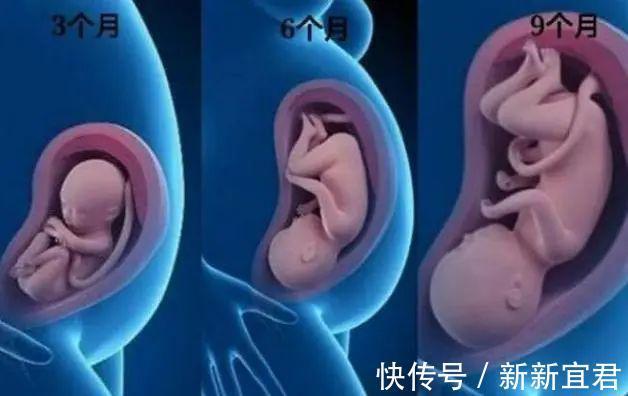 肚子|3个月,6个月,9个月,孕期这三个阶段有什么不同