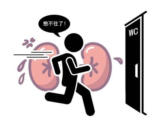 肾脏|长寿的男人,小便会有四个“突出”特征,若你全都符合,恭喜你!