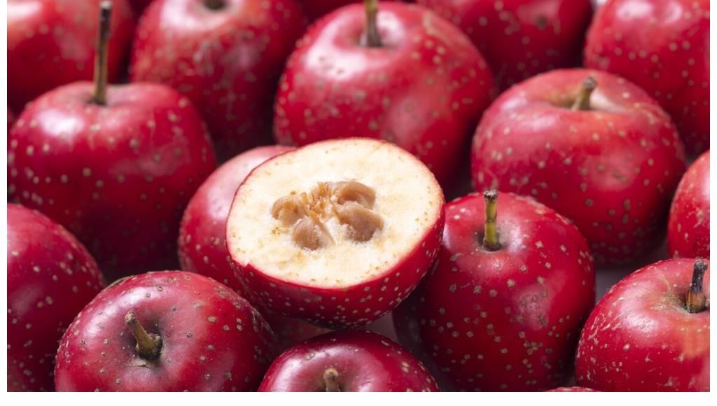 山楂|55岁阿姨胃痛晕倒，查出胃癌，医生直言：1种水果别傻傻当成宝了