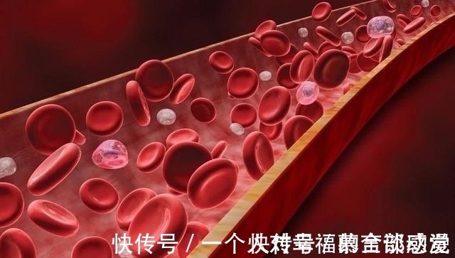 食物|茄子属于高血脂的“发物”吗？医生：预防高血脂，这3物尽量少吃